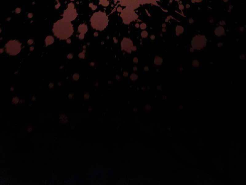 Thực Long Ma Pháp Sư Chap 24 - Next Chap 25