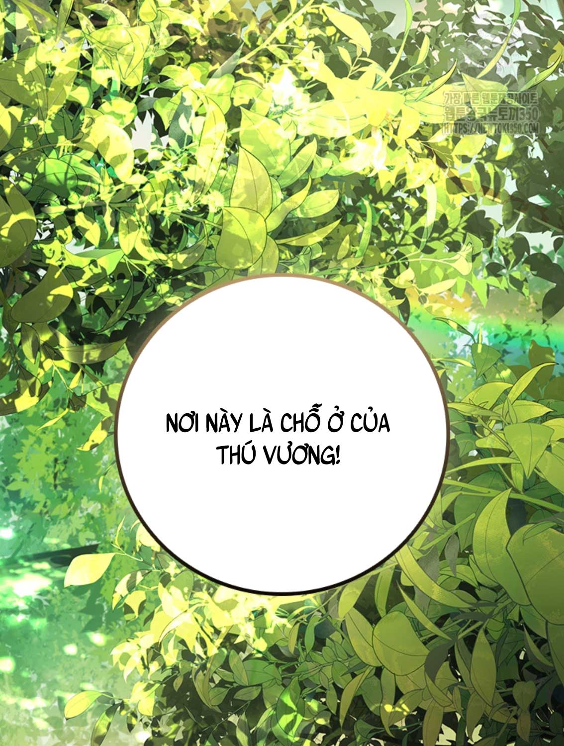 Thực Long Ma Pháp Sư Chap 70 - Next Chap 71