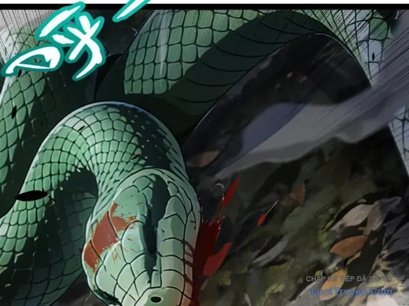Thức Tỉnh Thiên Phú Thần Thoại, Ta Nhất Kiếm Trảm Thần Chap 30 - Next Chap 31