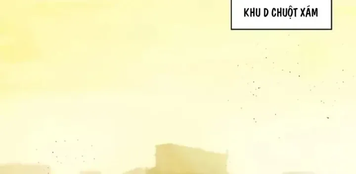 Thương Nhân Buôn Lậu Thời Mạt Thế: Ta Dùng Que Cay Đổi Vàng Thỏi Chap 22 - Next Chap 23