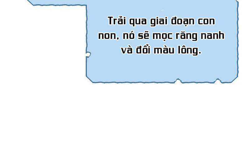 Thương Nhân Thánh Thần Chap 31 - Next Chap 32