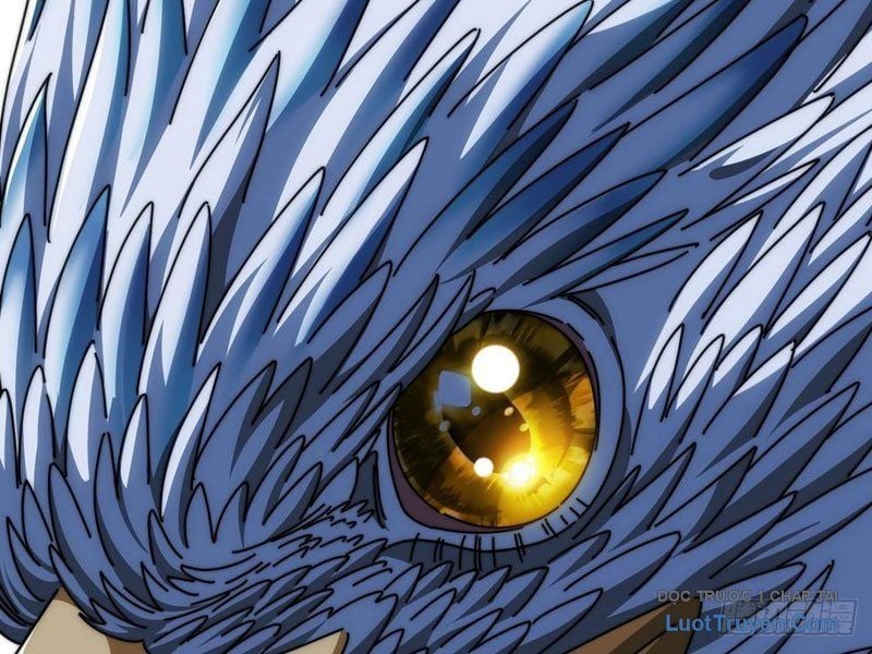 Tiến Hóa Vô Hạn Bắt Đầu Từ Con Số Không Chap 12 - Next Chap 13