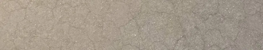 Tiến Hóa Vô Hạn Bắt Đầu Từ Con Số Không Chap 82 - Next Chap 83