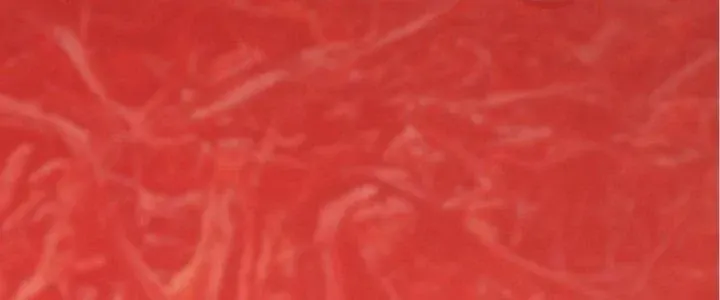 Tiên Thê Tại Thượng: Lang Tính Lão Công Thâm Thâm Ái Chap 17 - Next Chap 18