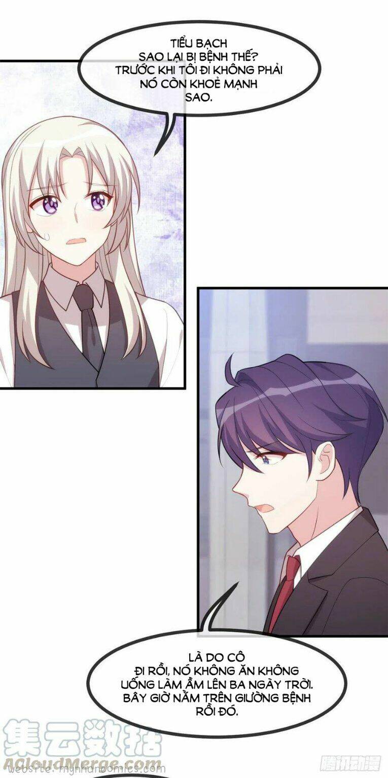 Tiểu Bạch Nam Thần Daddy Chap 102 - Next Chap 103