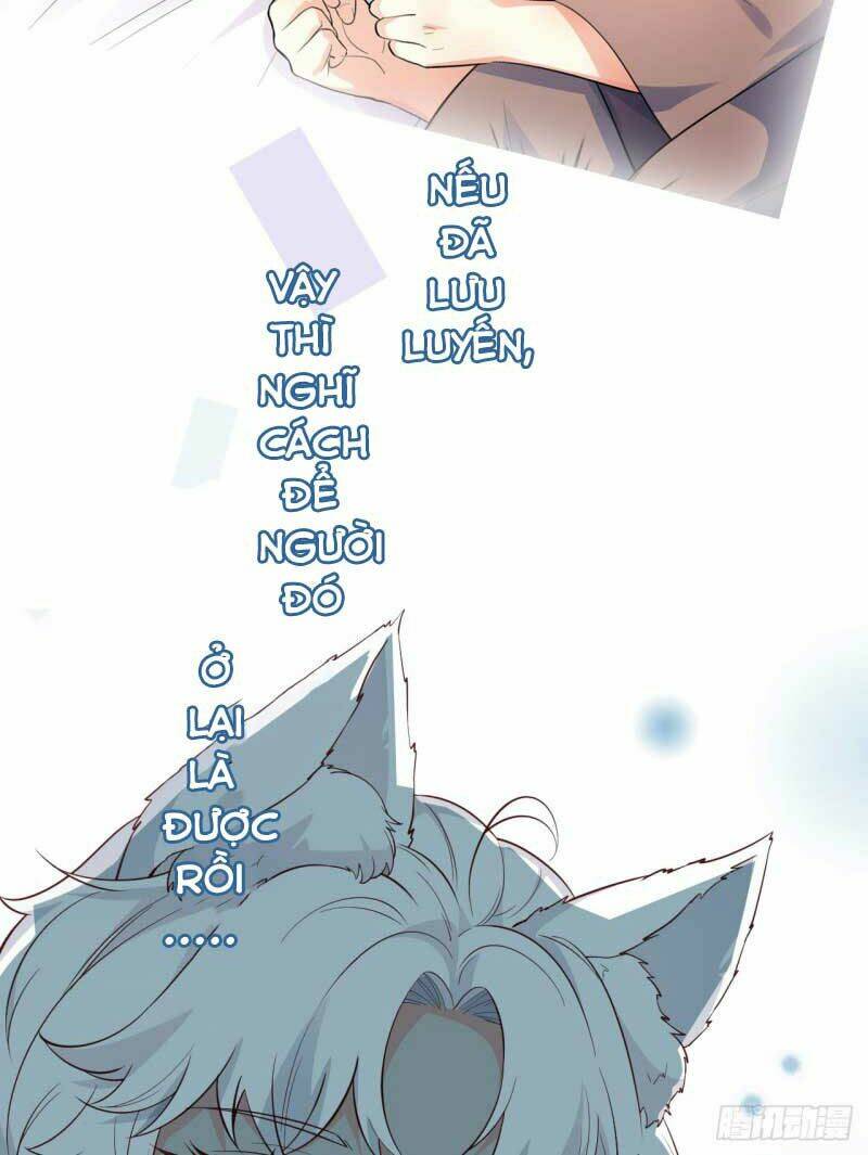 Tiểu Hồ Ly Hôm Nay Có Chút Ngoan Chap 0 - Next Chap 1