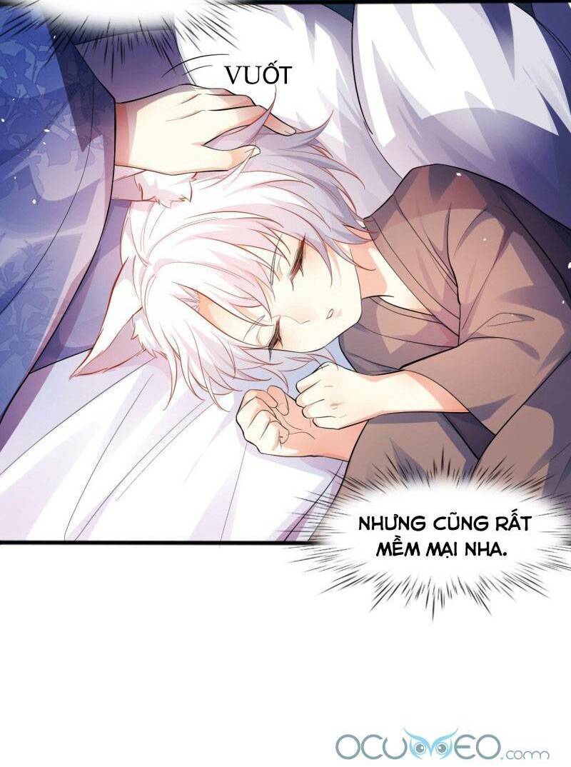 Tiểu Hồ Ly Hôm Nay Có Chút Ngoan Chap 1 - Next Chap 2