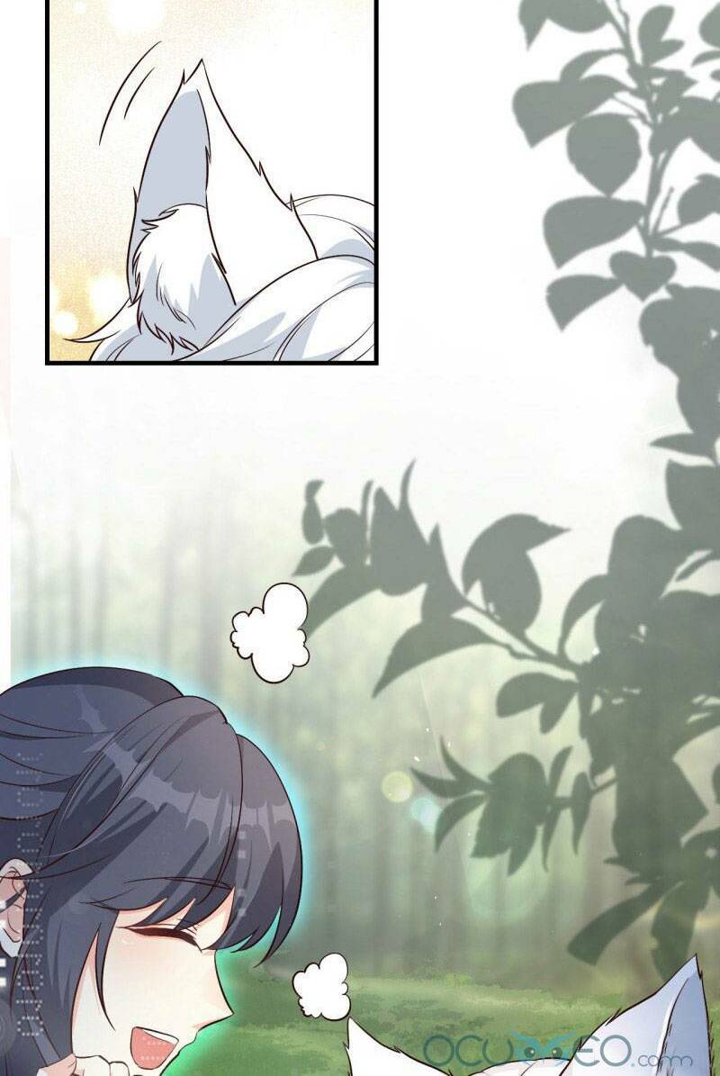 Tiểu Hồ Ly Hôm Nay Có Chút Ngoan Chap 3 - Next Chap 4