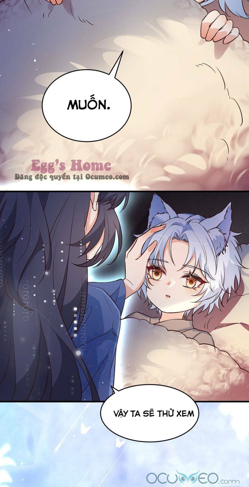 Tiểu Hồ Ly Hôm Nay Có Chút Ngoan Chap 4 - Next Chap 5