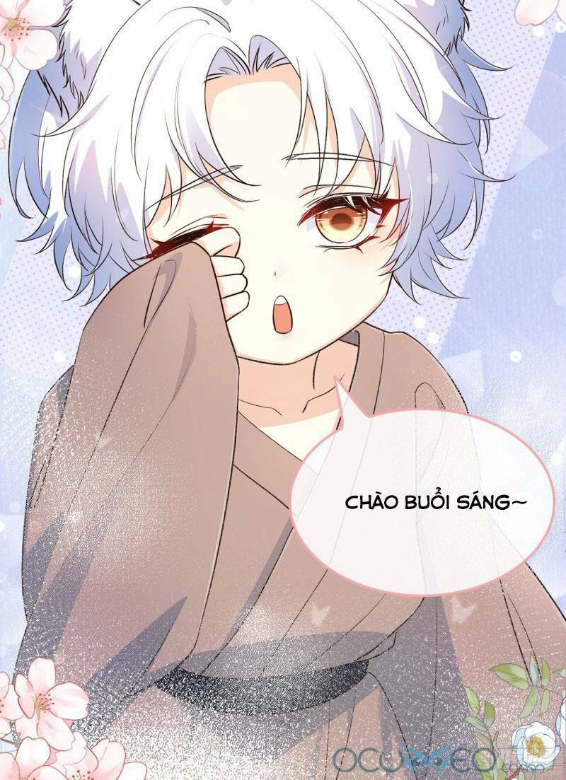 Tiểu Hồ Ly Hôm Nay Có Chút Ngoan Chap 4 - Next Chap 5