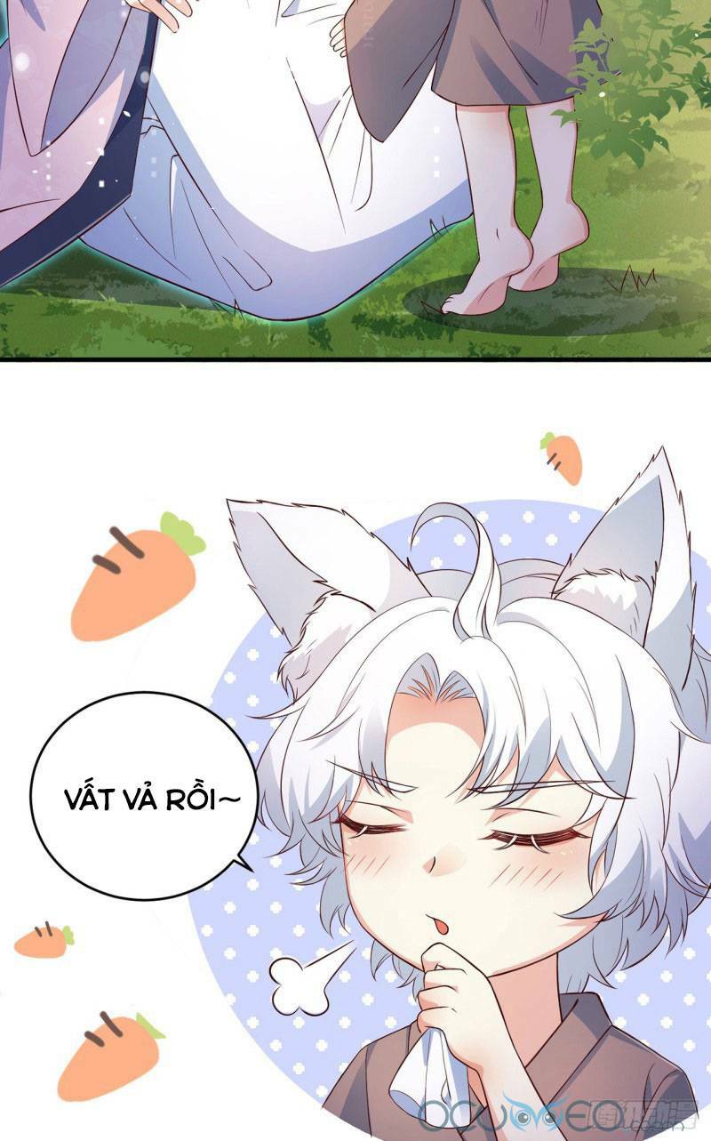 Tiểu Hồ Ly Hôm Nay Có Chút Ngoan Chap 5 - Next Chap 6