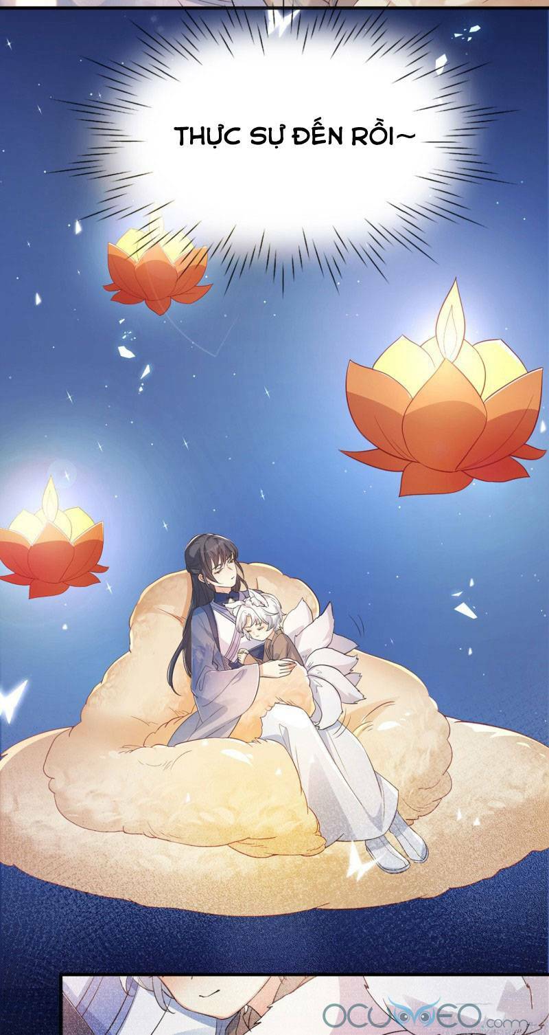 Tiểu Hồ Ly Hôm Nay Có Chút Ngoan Chap 6 - Next Chap 7