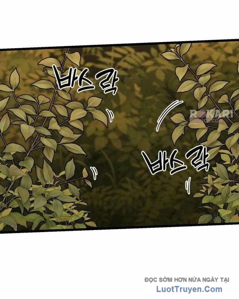 Tiểu Nữ Che Giấu Thiên Phú Võ Công Chap 26 - Next Chap 27