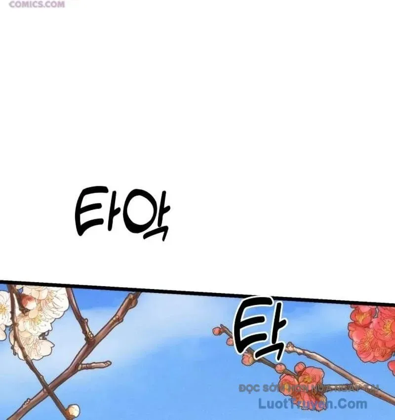 Tiểu Nữ Che Giấu Thiên Phú Võ Công Chap 28 - Next Chap 29