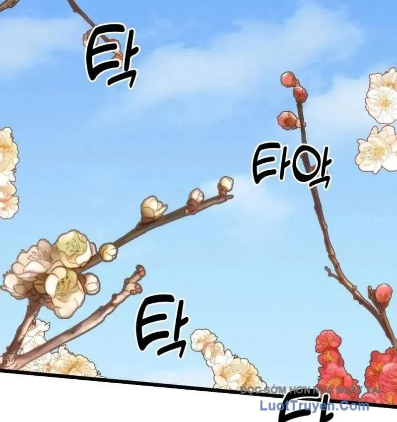 Tiểu Nữ Che Giấu Thiên Phú Võ Công Chap 28 - Next Chap 29
