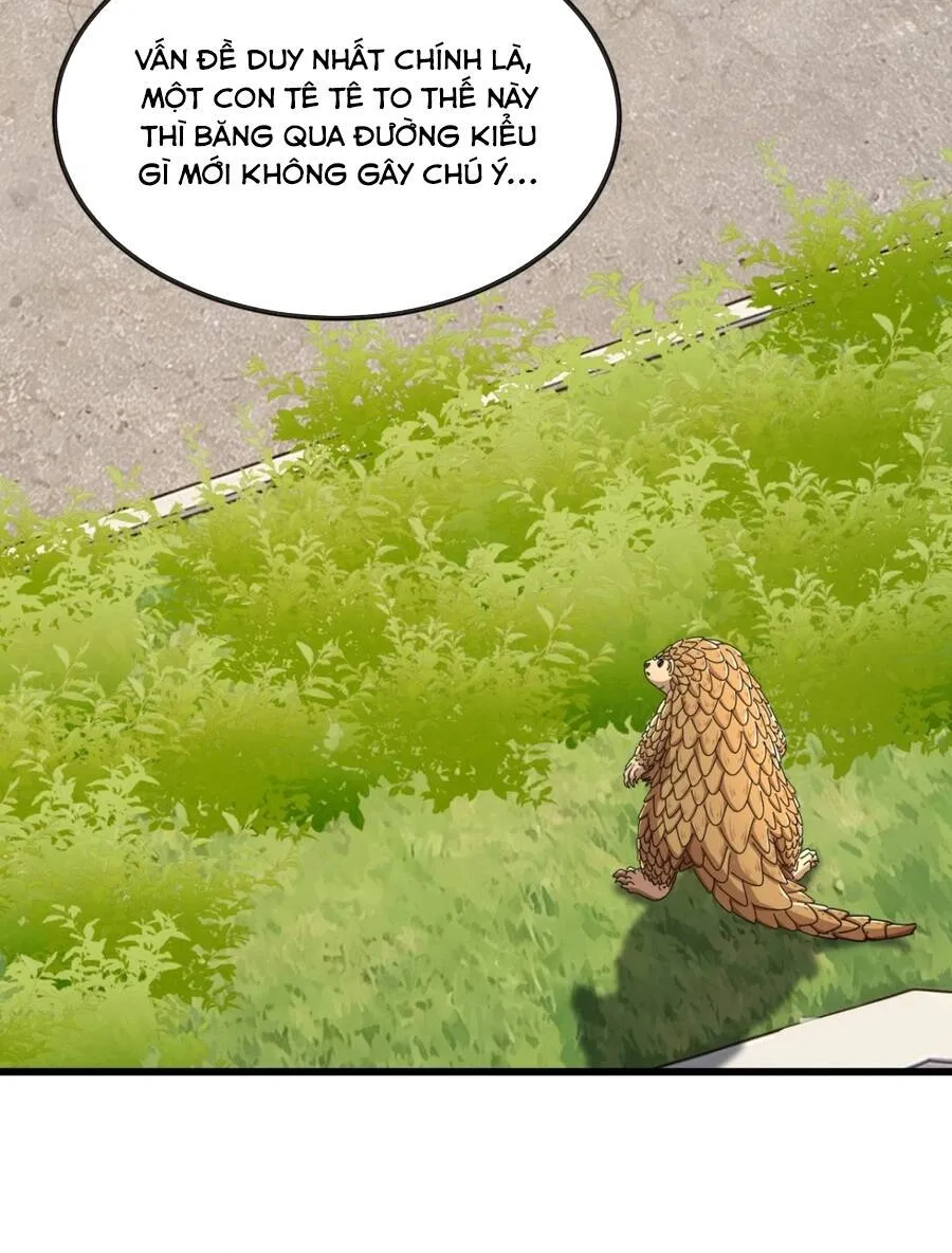 Tiểu Thế Giới Lạc Thú Vô Tận Chap 39 - Next Chap 40