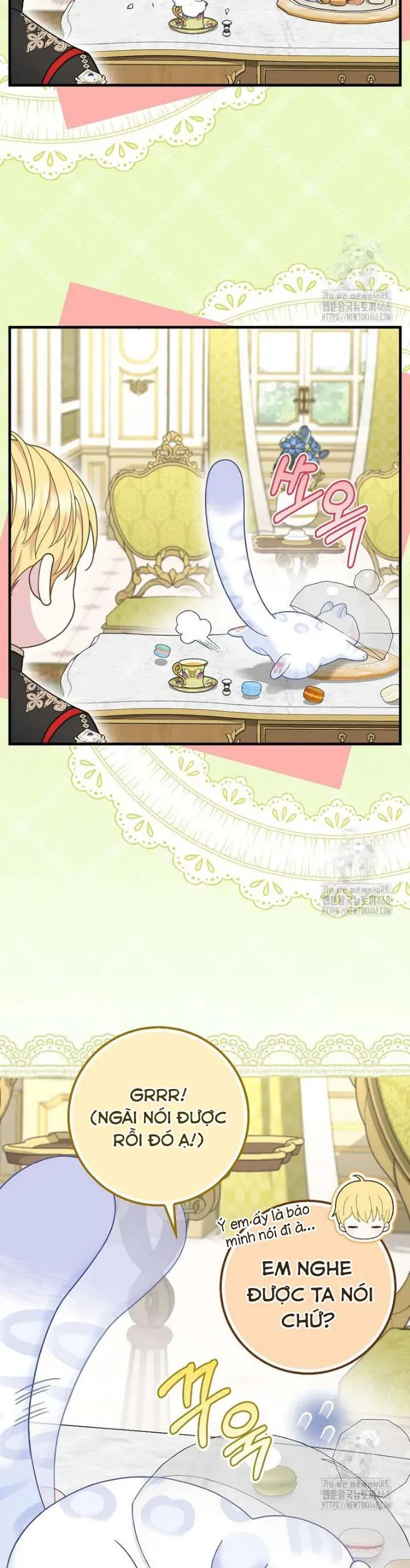 Tiểu Thư Báo Tuyết Của Gia Tộc Báo Đen Chap 31 - Next Chap 32