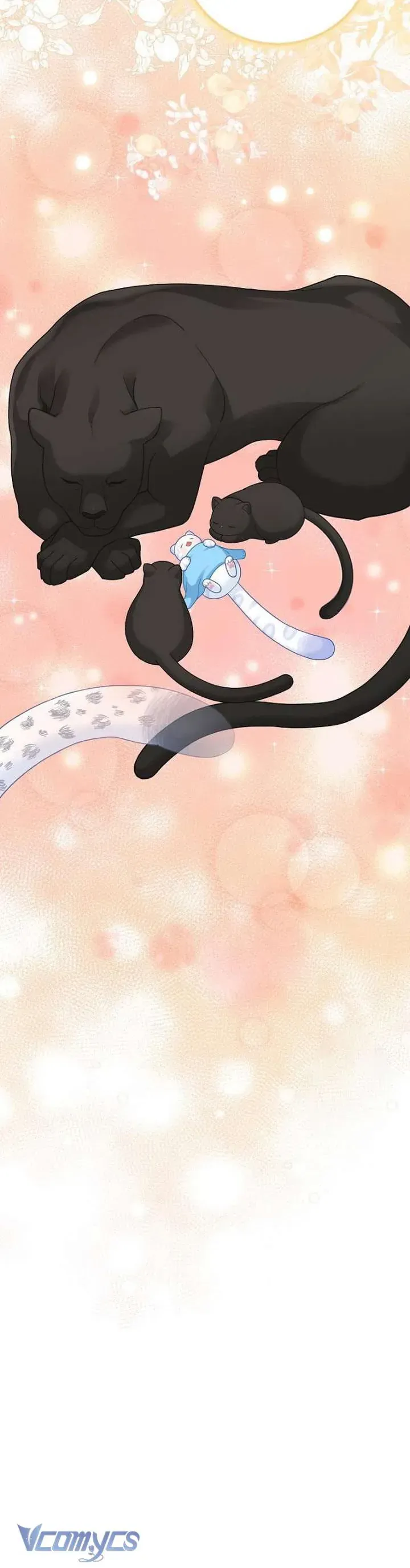 Tiểu Thư Báo Tuyết Của Gia Tộc Báo Đen Chap 33.1 - Next Chap 34.1