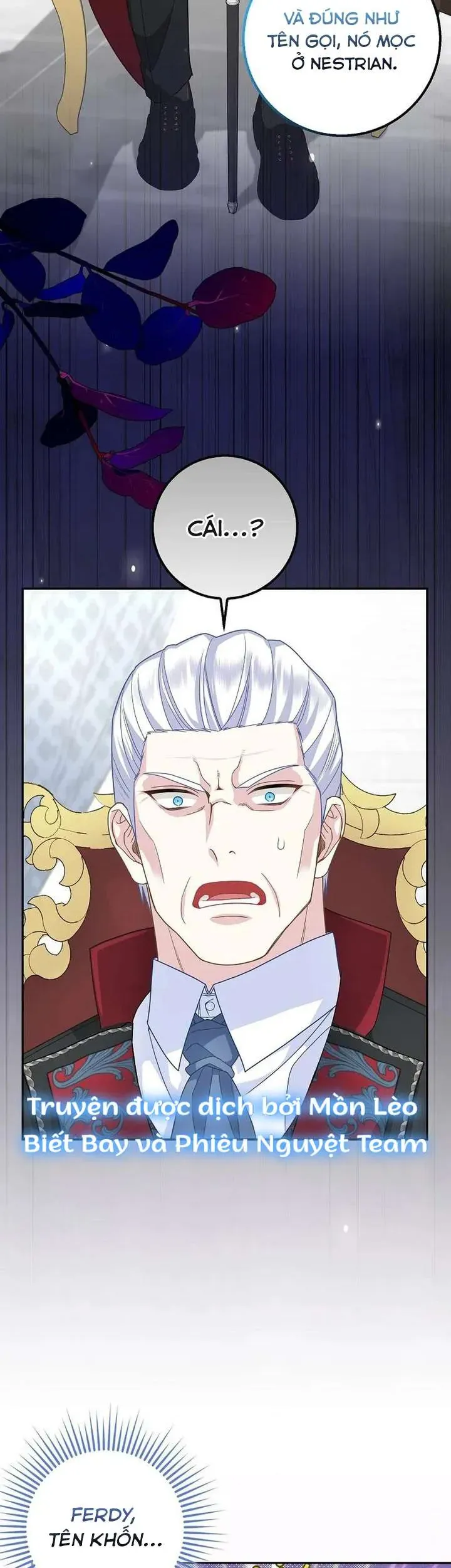 Tiểu Thư Báo Tuyết Của Gia Tộc Báo Đen Chap 35 - Next Chap 36