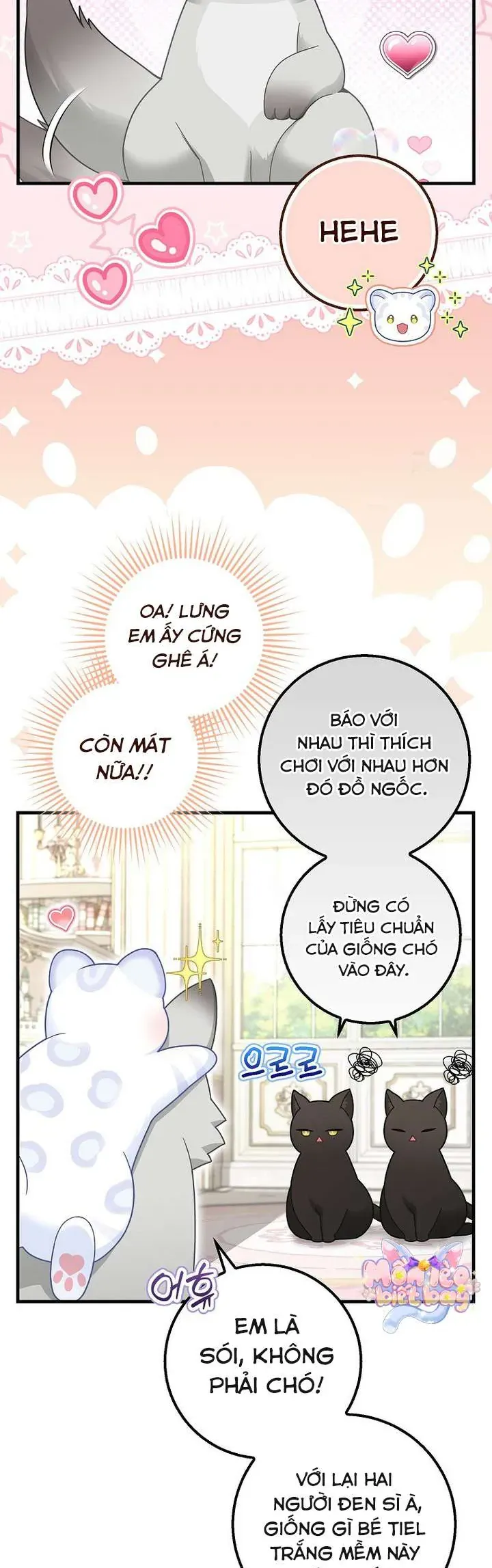 Tiểu Thư Báo Tuyết Của Gia Tộc Báo Đen Chap 41.1 - Next Chap 42.1