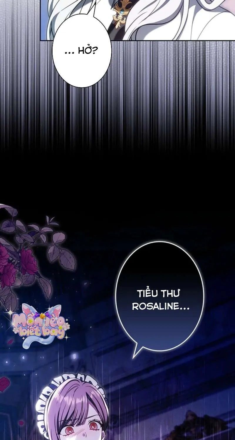 Tiểu Thư Là Kẻ Bám Đuôi Chap 23 - Next Chap 24