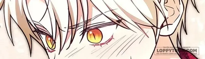 Tiểu Thư Là Kẻ Bám Đuôi Chap 32 - Next Chap 33