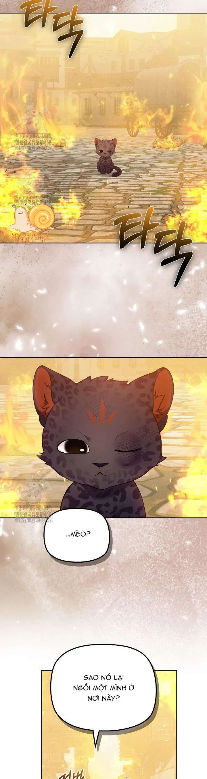 Tiểu Thư Mạnh Mẽ Muốn Trở Nên Yếu Đuối Chap 18 - Next Chap 19