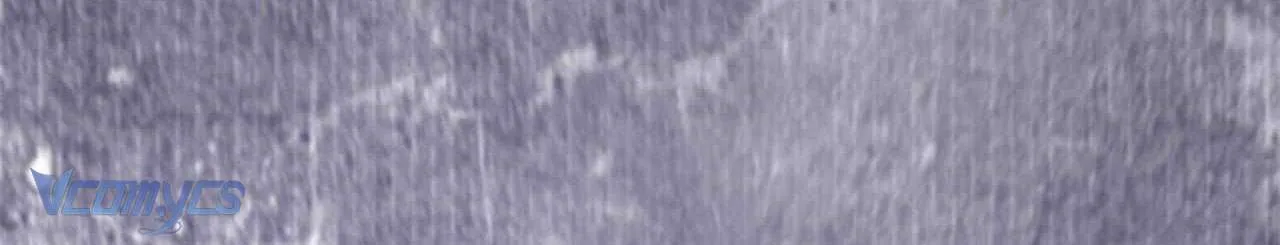 Tiểu Thư Nhỏ Vô Năng Muốn Cứu Rỗi Gia Tộc Chap 7 - Next Chap 8