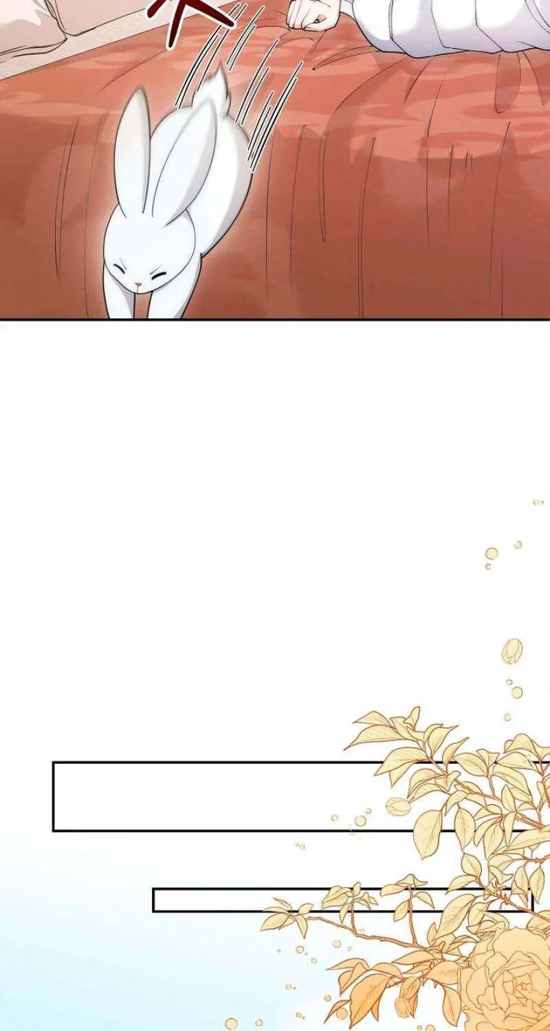 Tiểu Thư Út Của Gia Tộc Công Tước Phương Bắc Bị Lỗi Thiết Lập Rồi Chap 10 - Next Chap 11