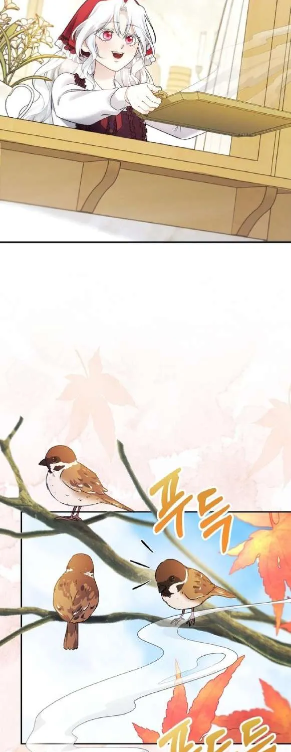 Tiểu Thư Út Của Gia Tộc Công Tước Phương Bắc Bị Lỗi Thiết Lập Rồi Chap 11 - Next Chap 12