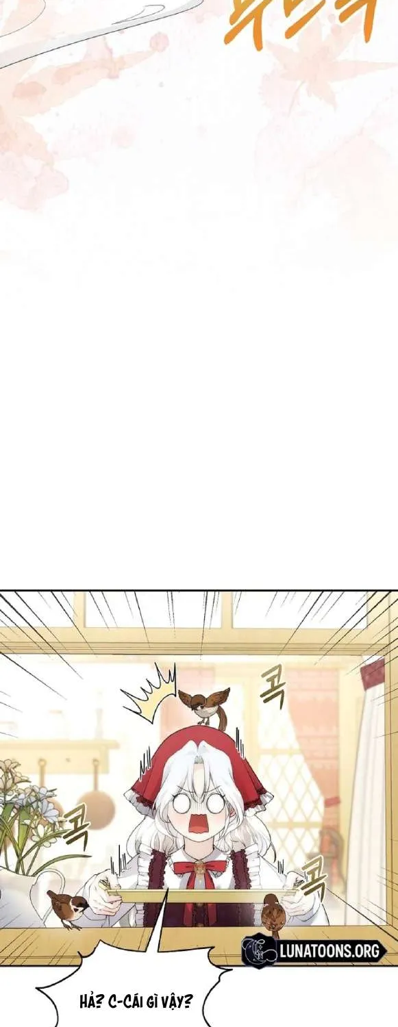 Tiểu Thư Út Của Gia Tộc Công Tước Phương Bắc Bị Lỗi Thiết Lập Rồi Chap 11 - Next Chap 12