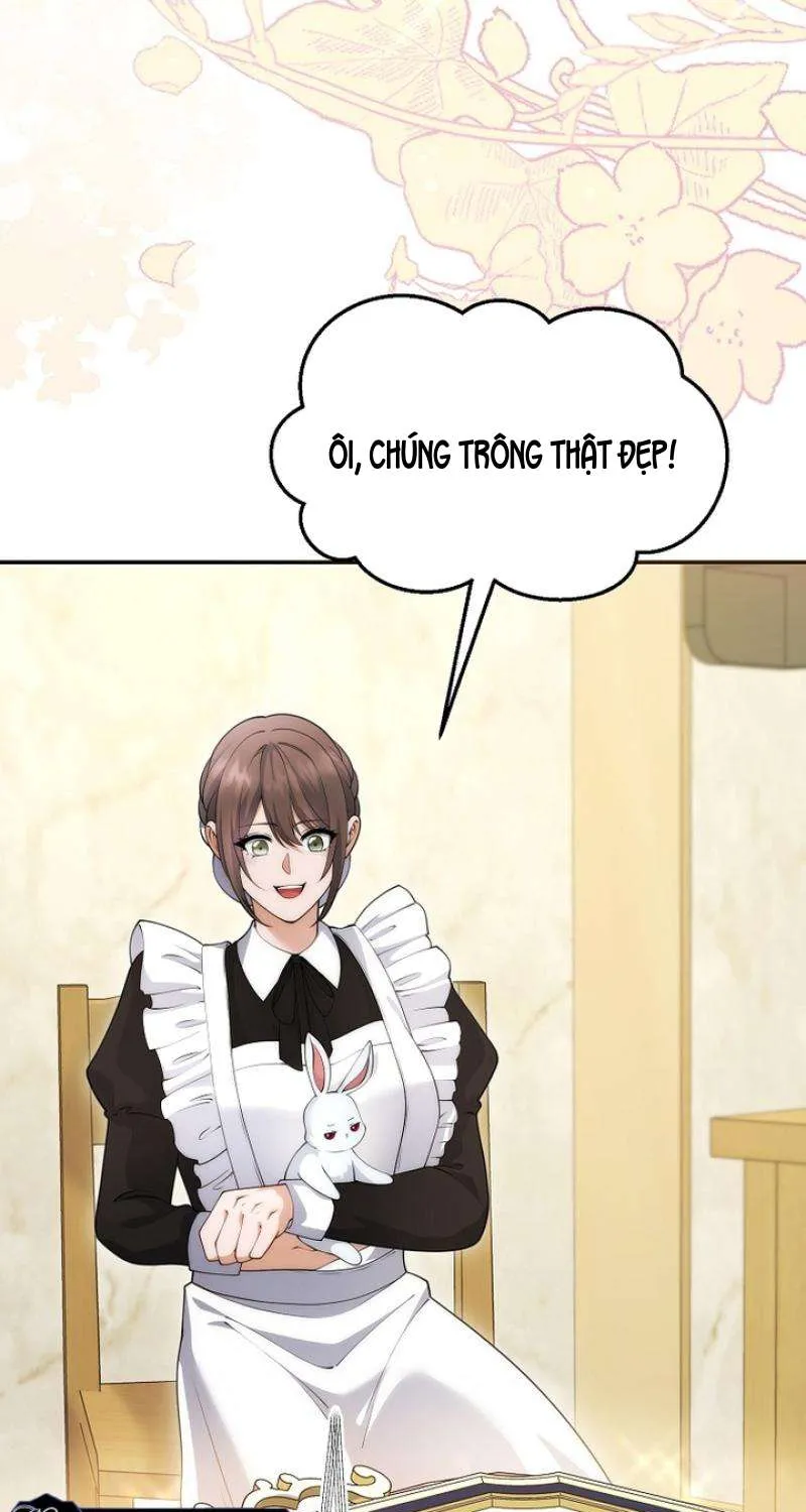Tiểu Thư Út Của Gia Tộc Công Tước Phương Bắc Bị Lỗi Thiết Lập Rồi Chap 11 - Next Chap 12