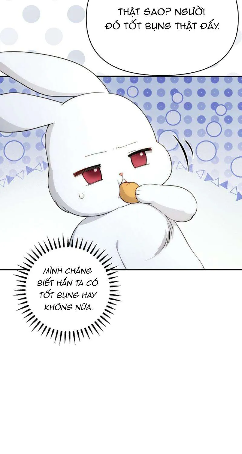 Tiểu Thư Út Của Gia Tộc Công Tước Phương Bắc Bị Lỗi Thiết Lập Rồi Chap 12 - Next Chap 13