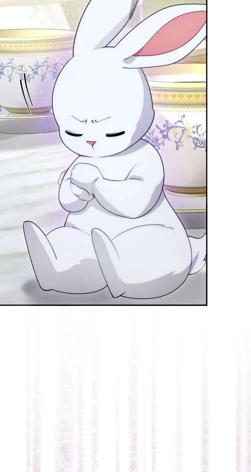 Tiểu Thư Út Của Gia Tộc Công Tước Phương Bắc Bị Lỗi Thiết Lập Rồi Chap 12 - Next Chap 13