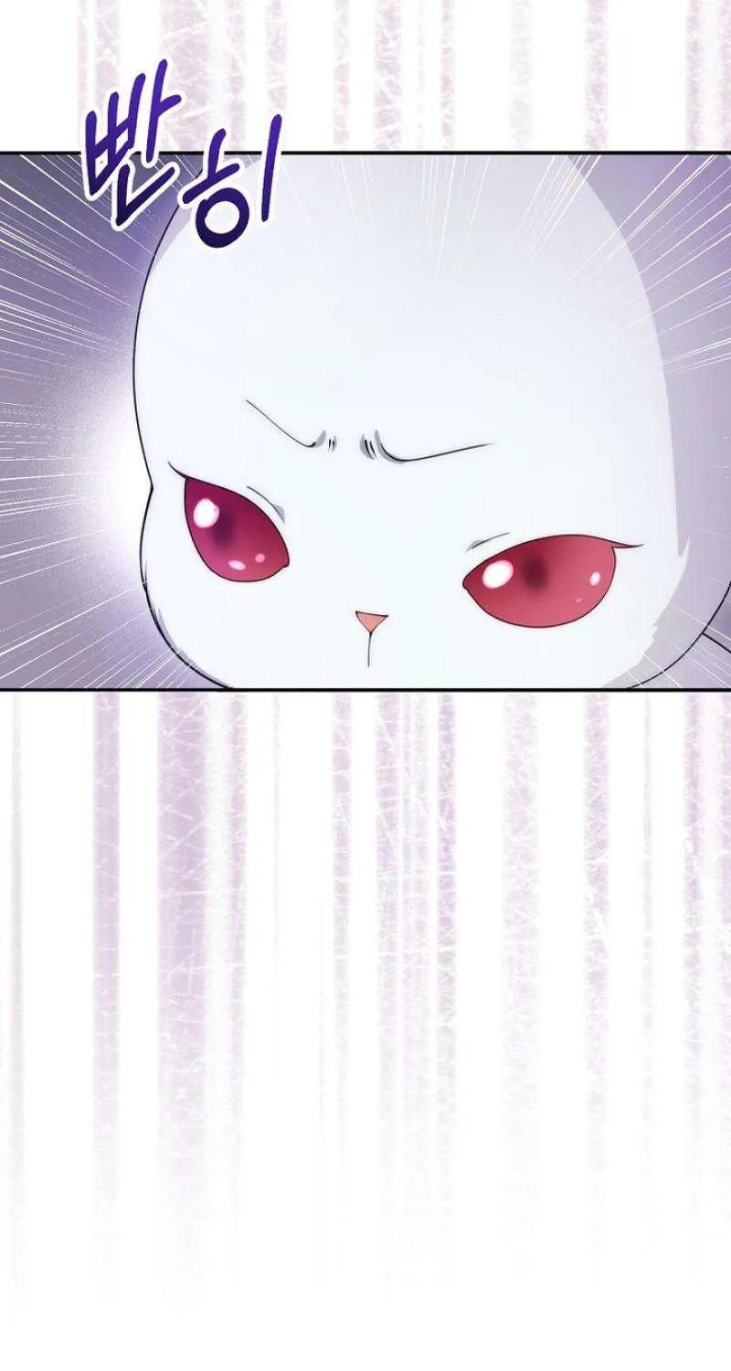 Tiểu Thư Út Của Gia Tộc Công Tước Phương Bắc Bị Lỗi Thiết Lập Rồi Chap 12 - Next Chap 13