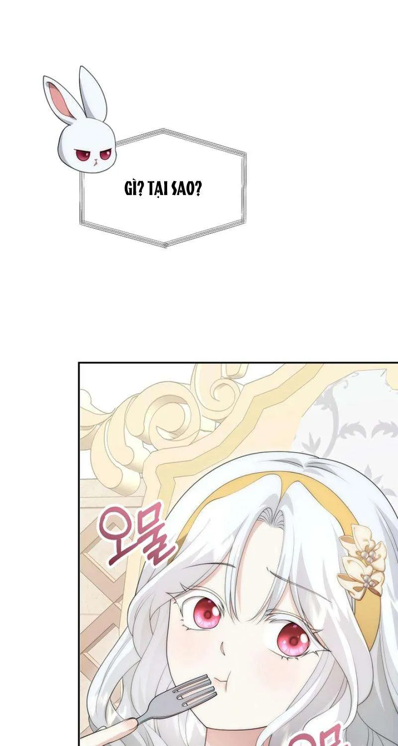 Tiểu Thư Út Của Gia Tộc Công Tước Phương Bắc Bị Lỗi Thiết Lập Rồi Chap 12 - Next Chap 13