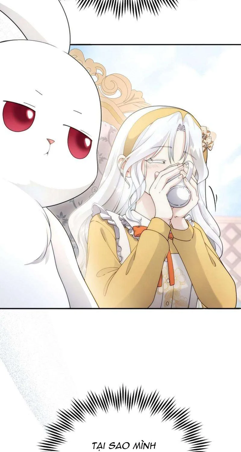 Tiểu Thư Út Của Gia Tộc Công Tước Phương Bắc Bị Lỗi Thiết Lập Rồi Chap 12 - Next Chap 13