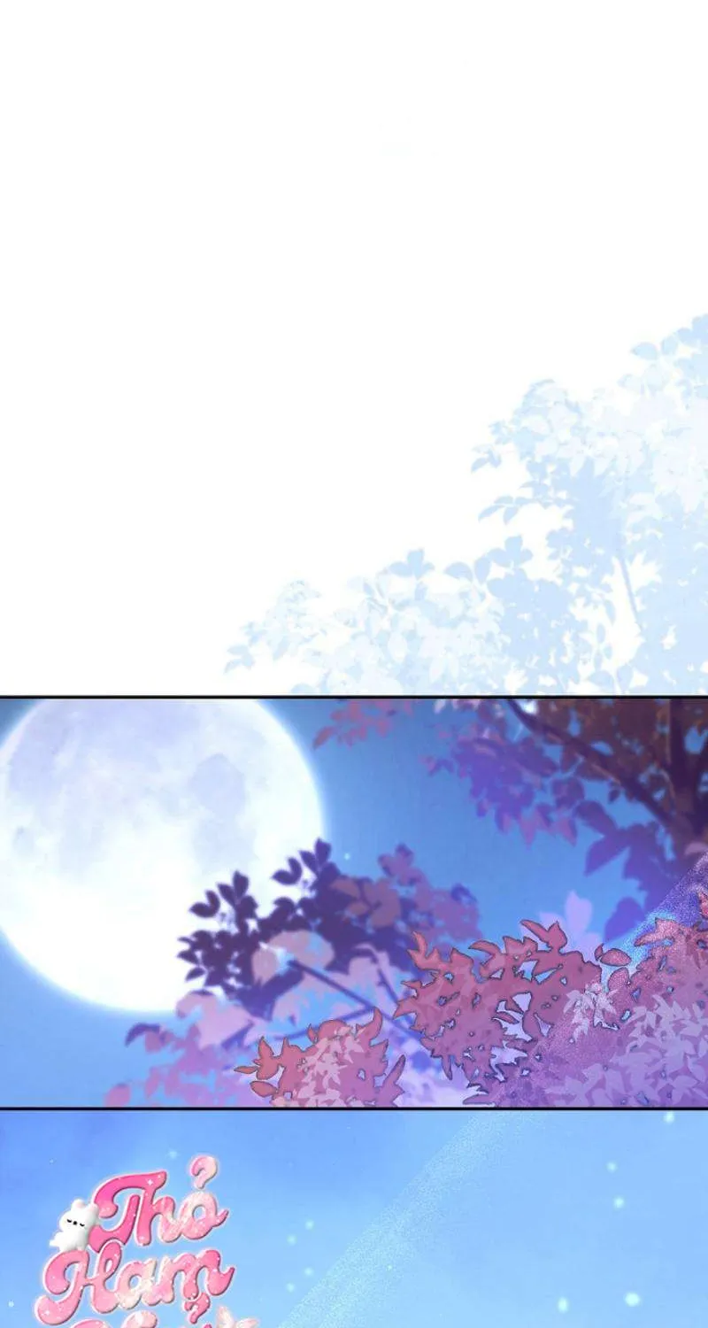 Tiểu Thư Út Của Gia Tộc Công Tước Phương Bắc Bị Lỗi Thiết Lập Rồi Chap 12 - Next Chap 13