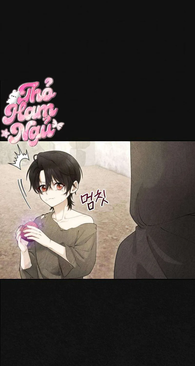 Tiểu Thư Út Của Gia Tộc Công Tước Phương Bắc Bị Lỗi Thiết Lập Rồi Chap 13 - Next Chap 14