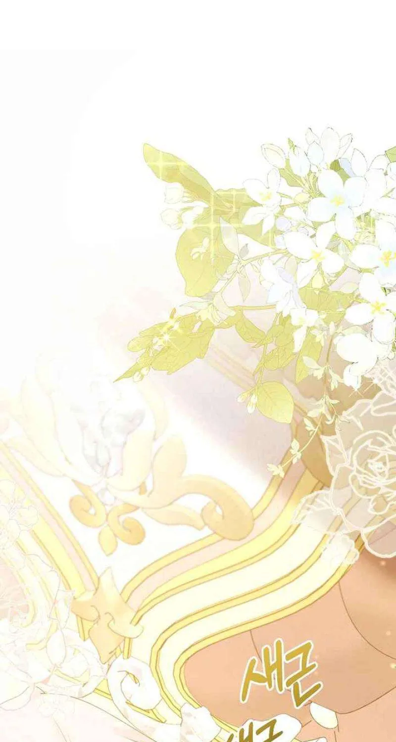 Tiểu Thư Út Của Gia Tộc Công Tước Phương Bắc Bị Lỗi Thiết Lập Rồi Chap 7 - Next Chap 8