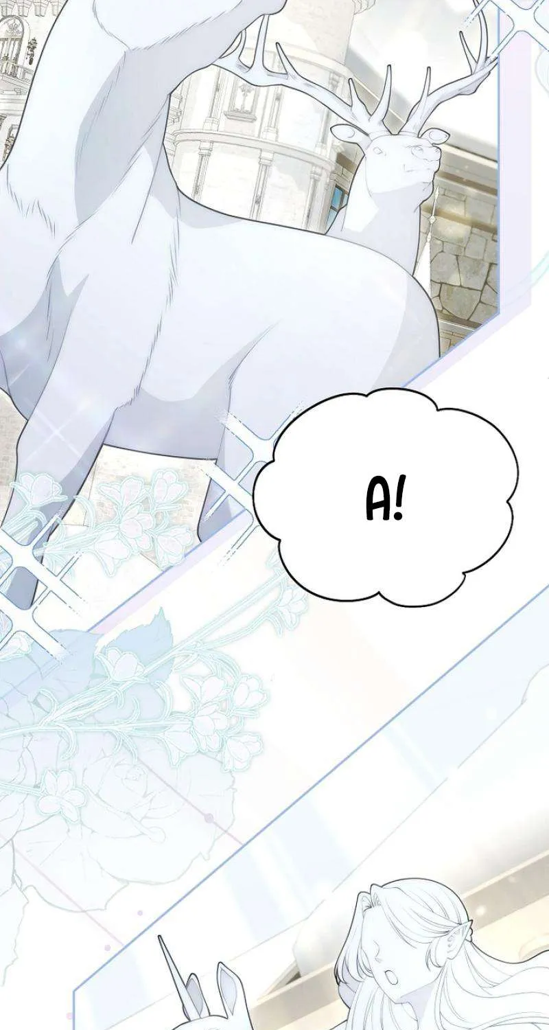 Tiểu Thư Út Của Gia Tộc Công Tước Phương Bắc Bị Lỗi Thiết Lập Rồi Chap 8 - Next Chap 9