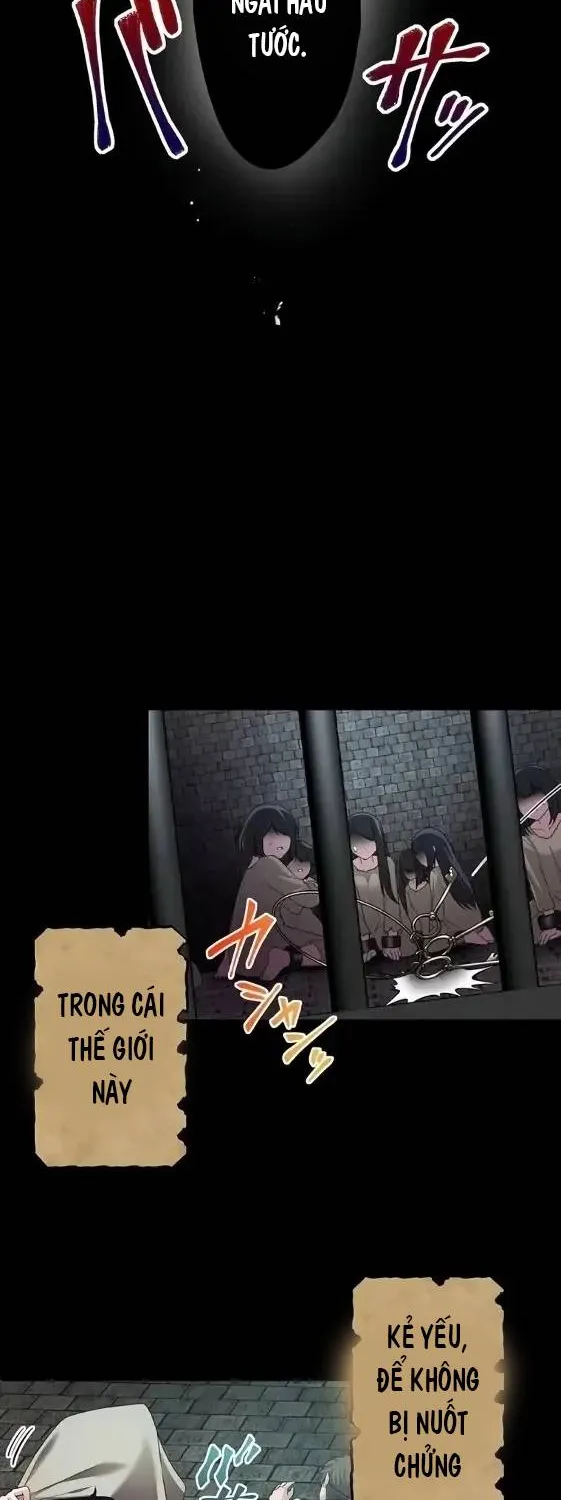 Tiểu Thư Út Tái Sinh || Sát Thủ Huyền Thoại Tái Sinh Thành Ái Nữ Út Được Sủng Ái Của Hoàng Gia Chap 1 - Next Chap 2