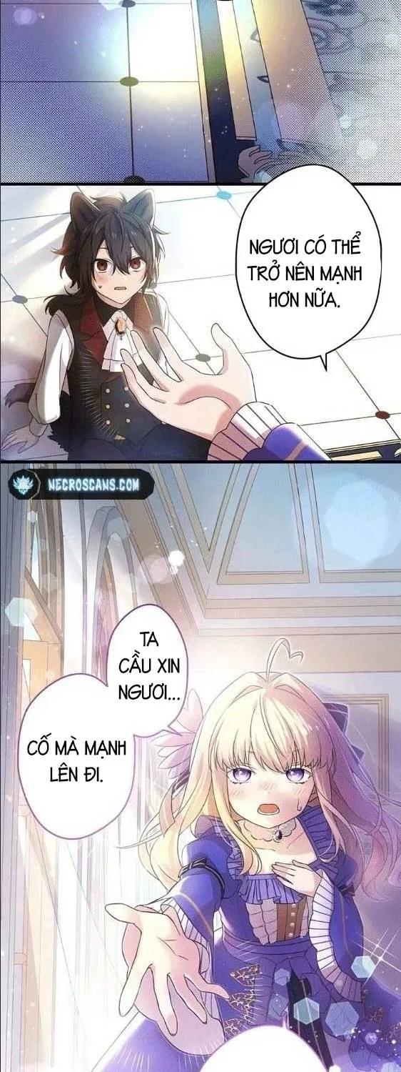 Tiểu Thư Út Tái Sinh || Sát Thủ Huyền Thoại Tái Sinh Thành Ái Nữ Út Được Sủng Ái Của Hoàng Gia Chap 8 - Next Chap 9