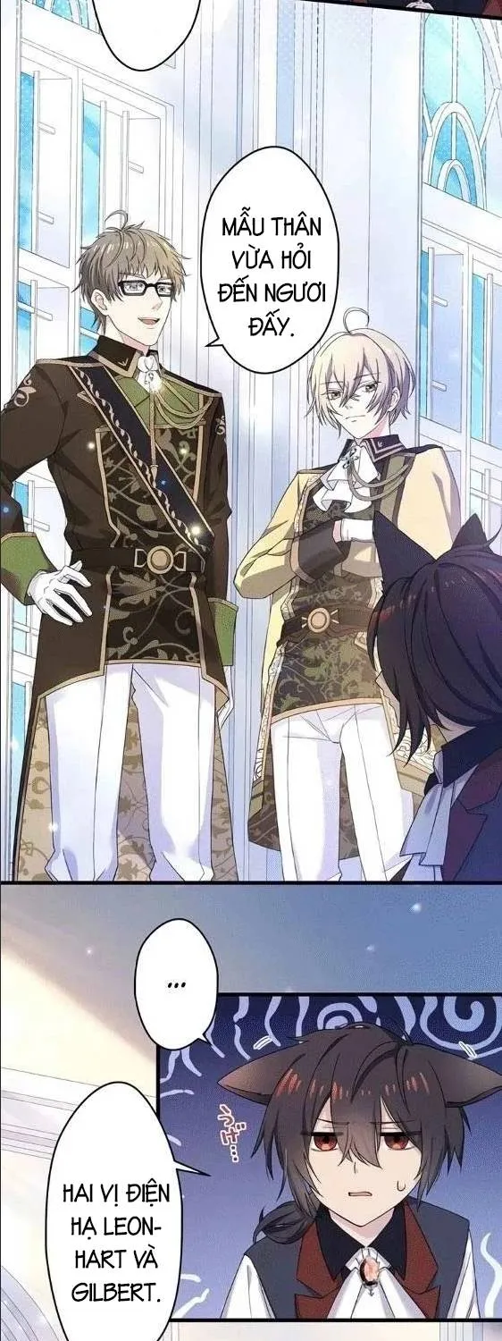 Tiểu Thư Út Tái Sinh || Sát Thủ Huyền Thoại Tái Sinh Thành Ái Nữ Út Được Sủng Ái Của Hoàng Gia Chap 8 - Next Chap 9