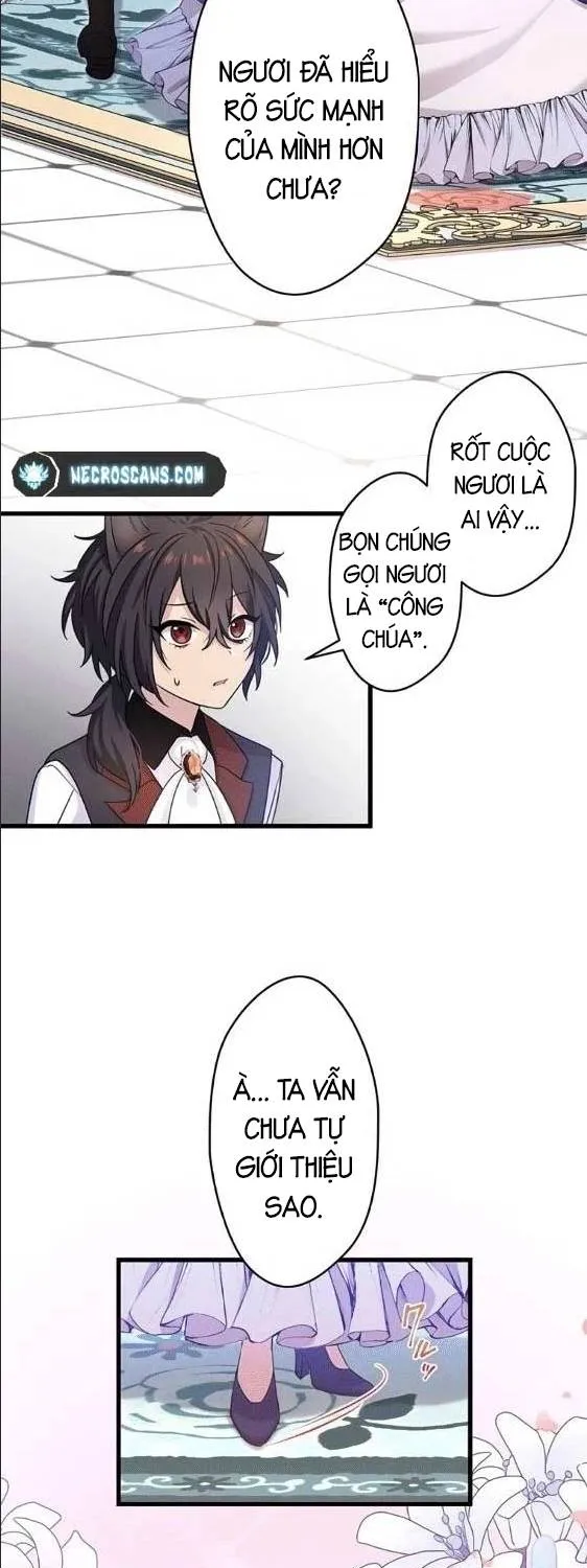 Tiểu Thư Út Tái Sinh || Sát Thủ Huyền Thoại Tái Sinh Thành Ái Nữ Út Được Sủng Ái Của Hoàng Gia Chap 8 - Next Chap 9