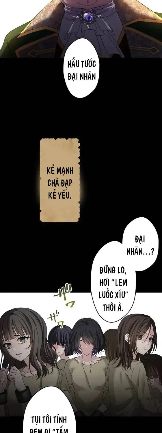 Tiểu Thư Út Tái Sinh Chap 1 - Next Chap 2