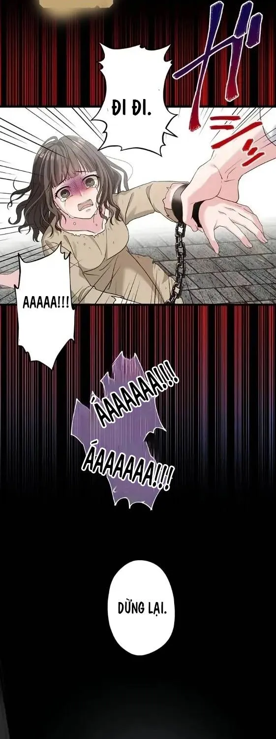 Tiểu Thư Út Tái Sinh Chap 1 - Next Chap 2