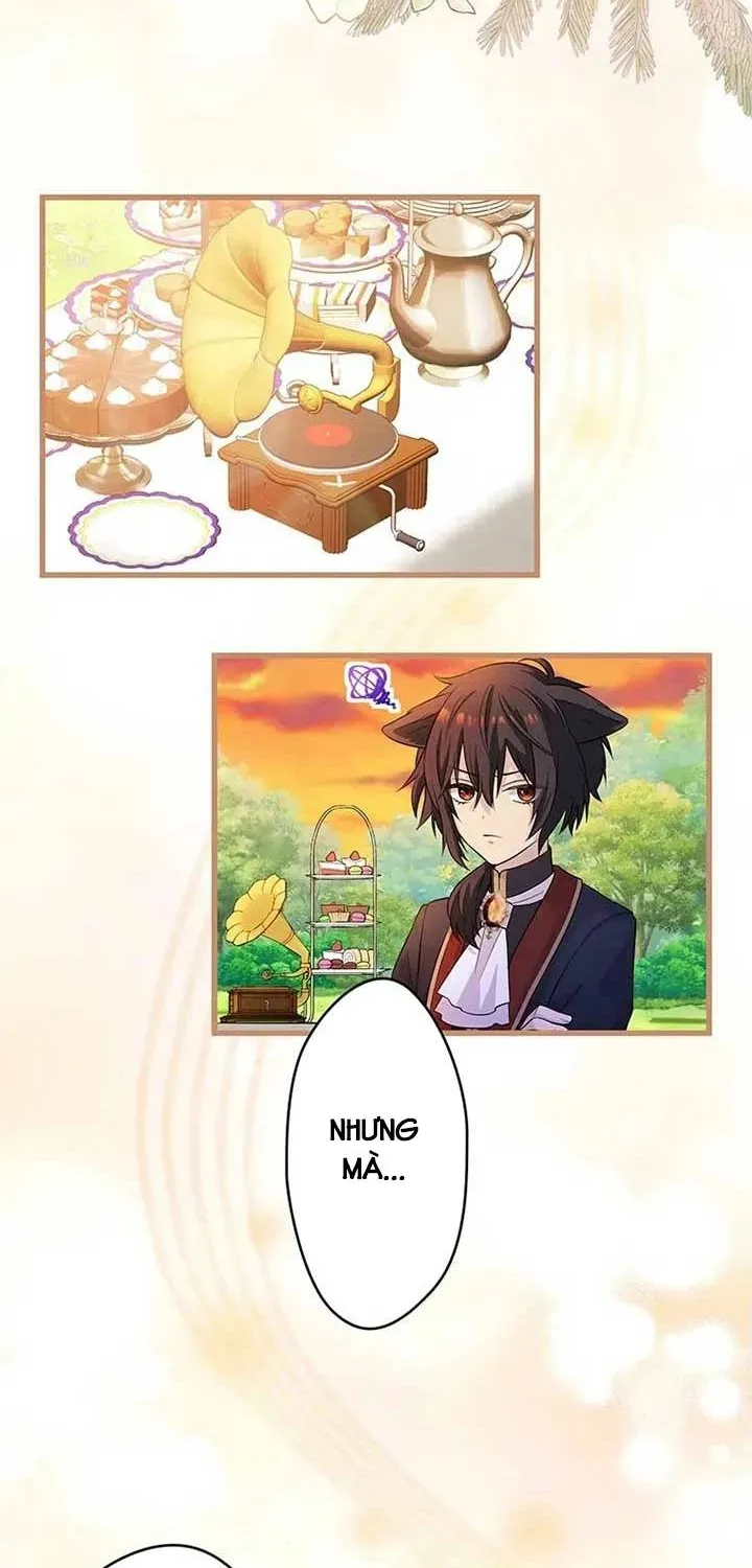 Tiểu Thư Út Tái Sinh Chap 17 - Next Chap 18