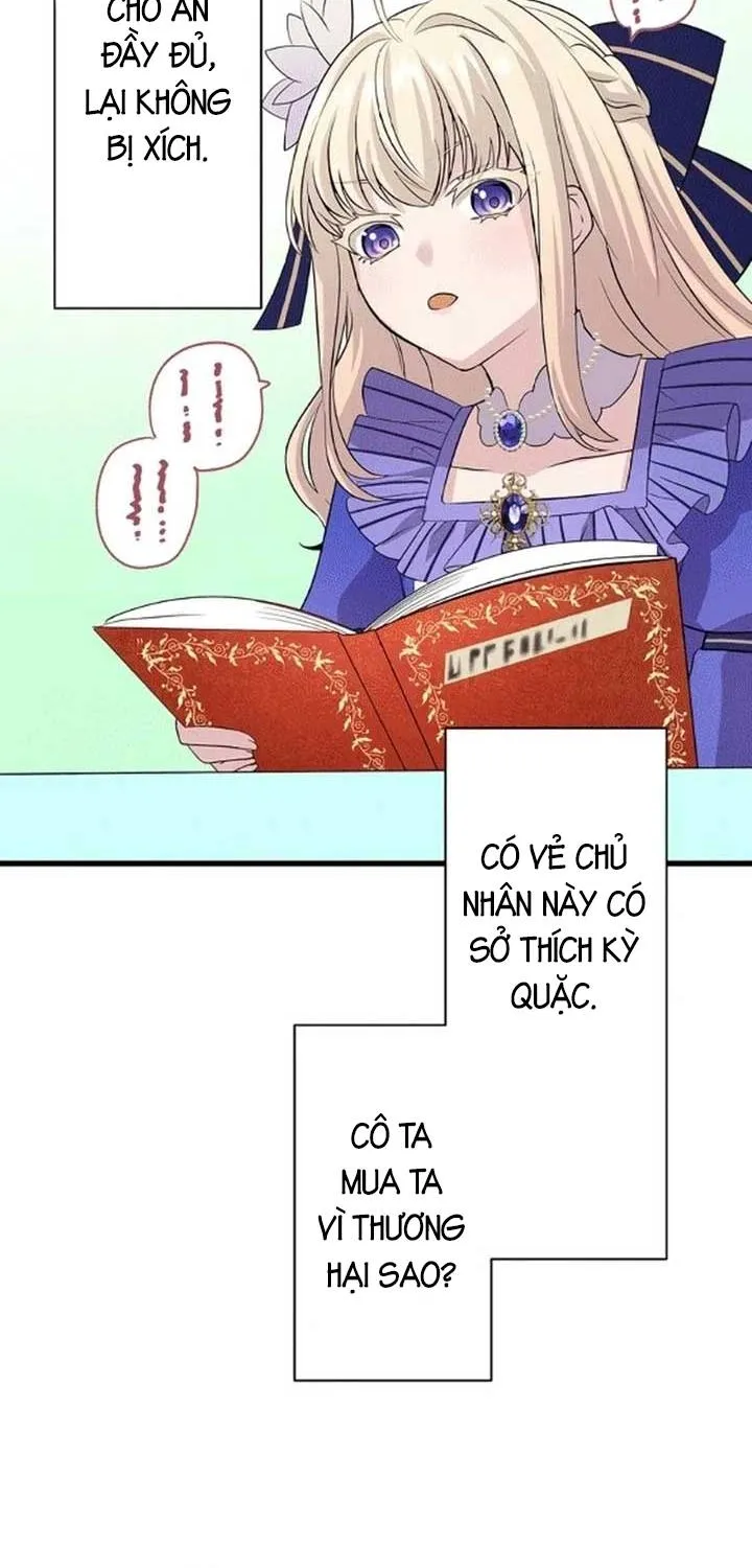 Tiểu Thư Út Tái Sinh Chap 7 - Next Chap 8