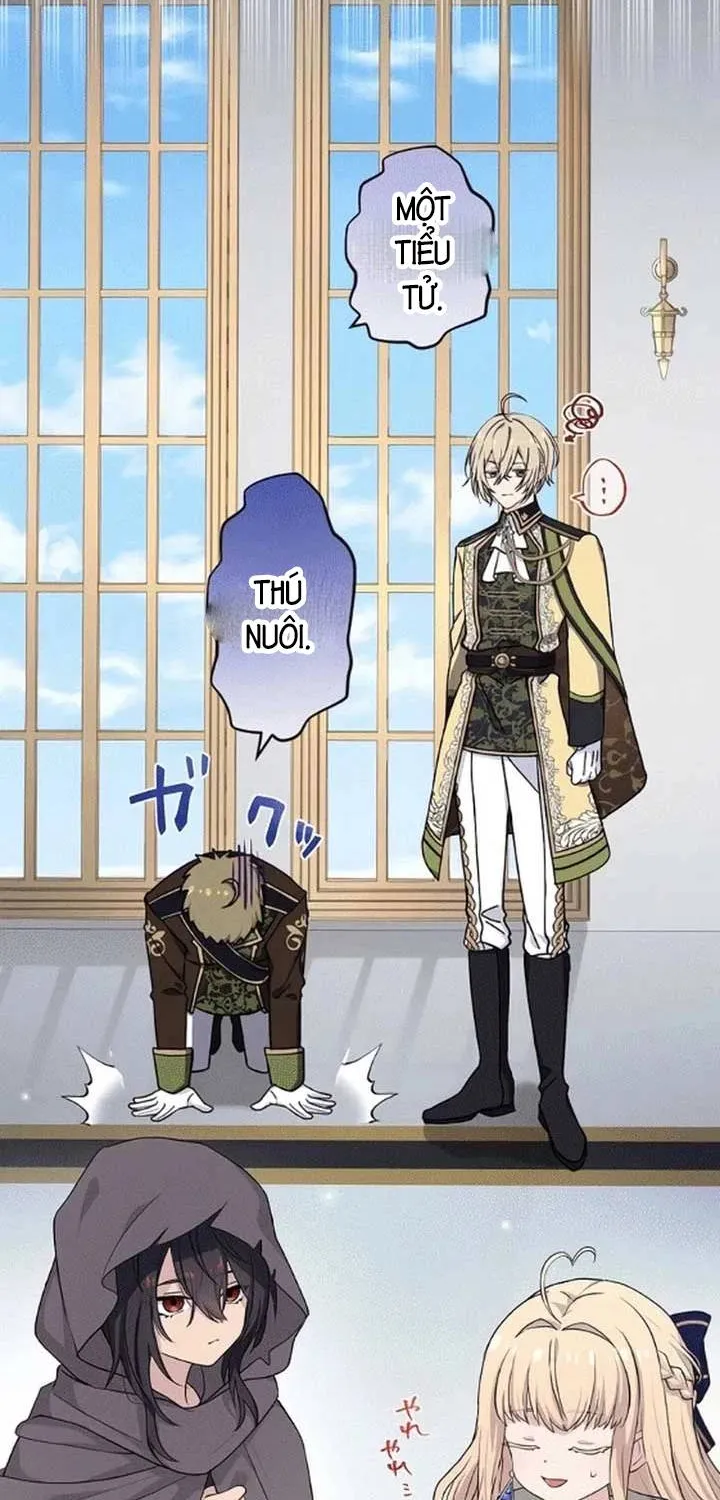 Tiểu Thư Út Tái Sinh Chap 7 - Next Chap 8